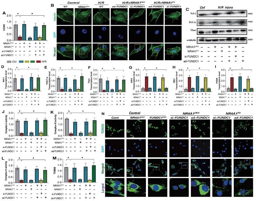 Int J Biol Sci Image