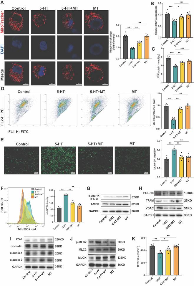 Int J Biol Sci Image