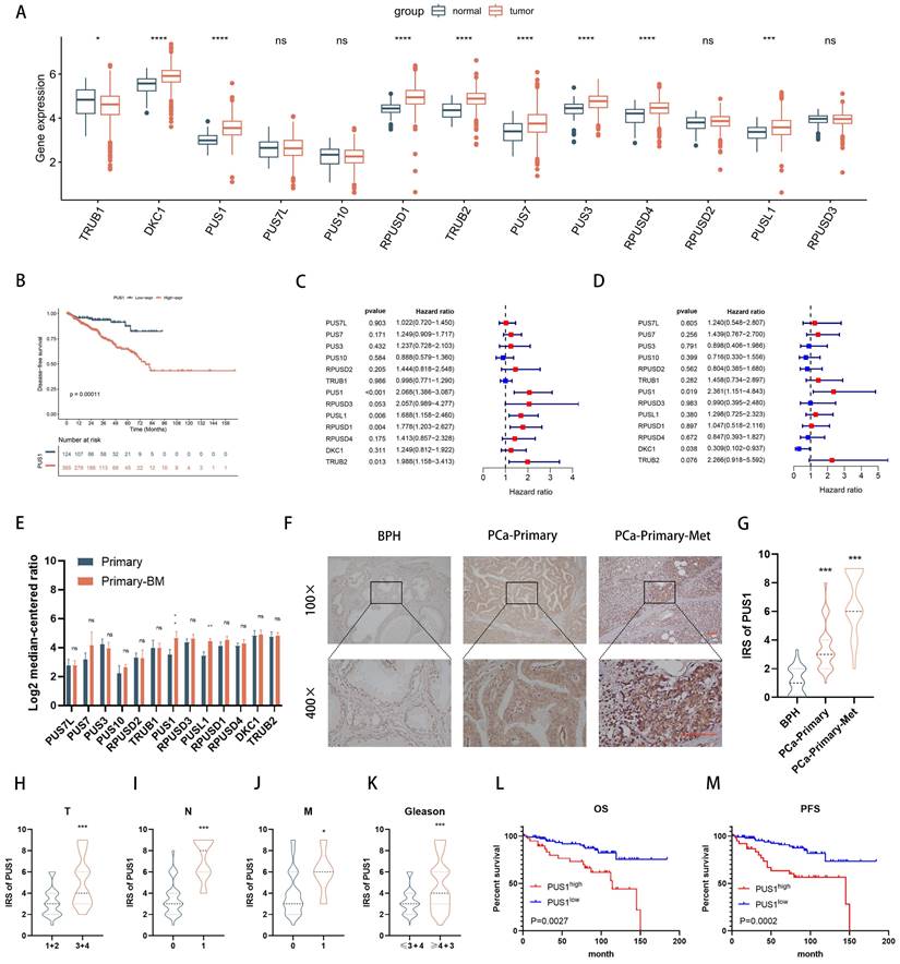 Int J Biol Sci Image