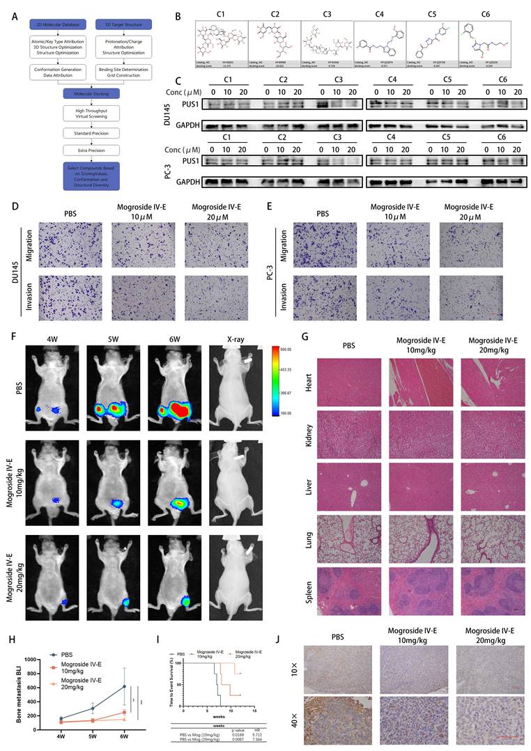 Int J Biol Sci Image