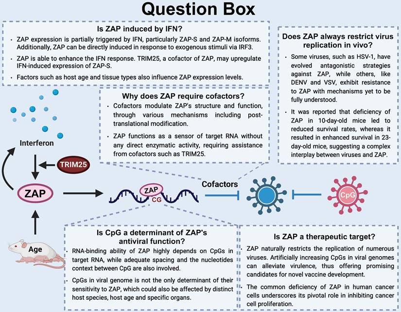 Int J Biol Sci Image