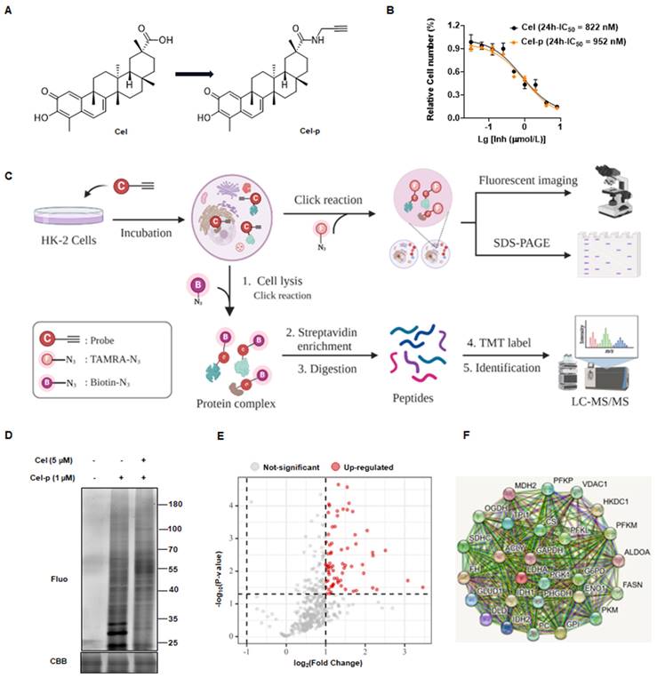 Int J Biol Sci Image