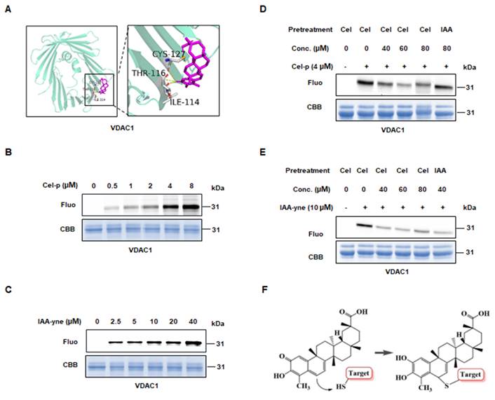 Int J Biol Sci Image