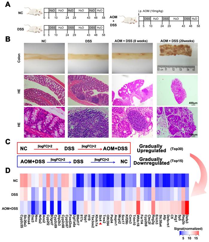 Int J Biol Sci Image