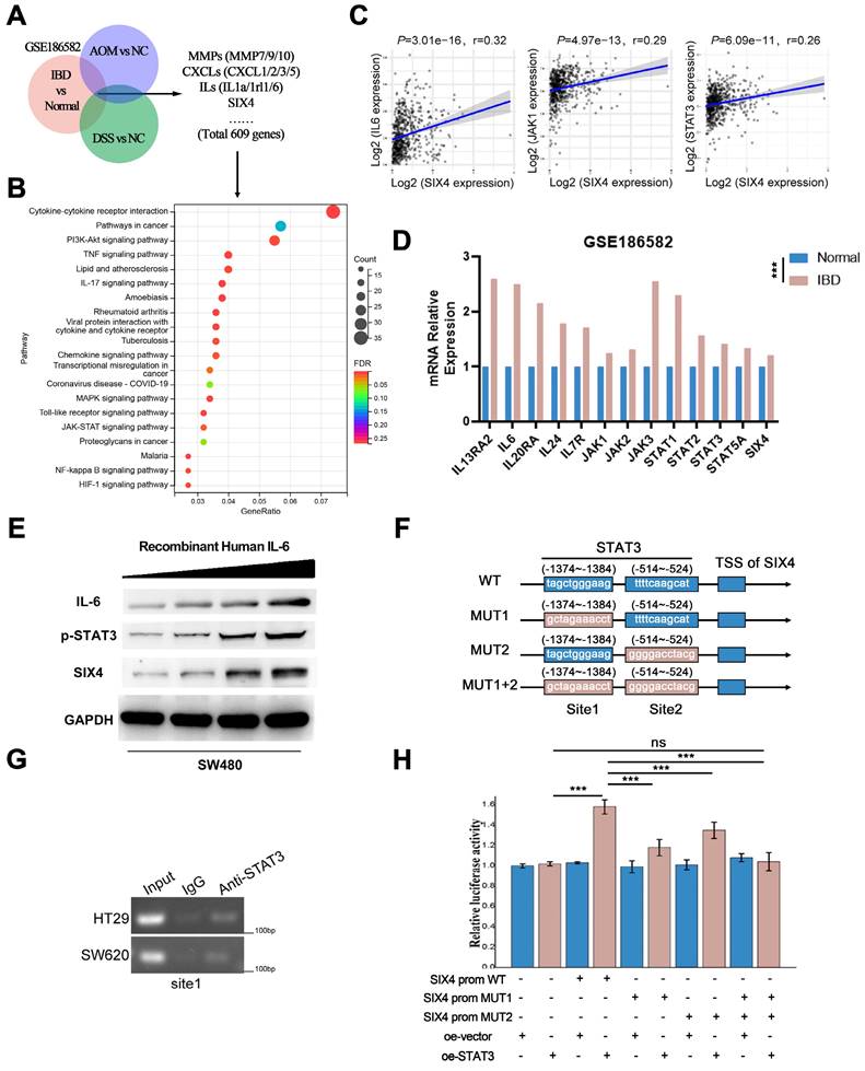 Int J Biol Sci Image