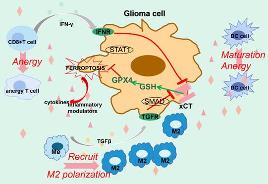 Int J Biol Sci Image