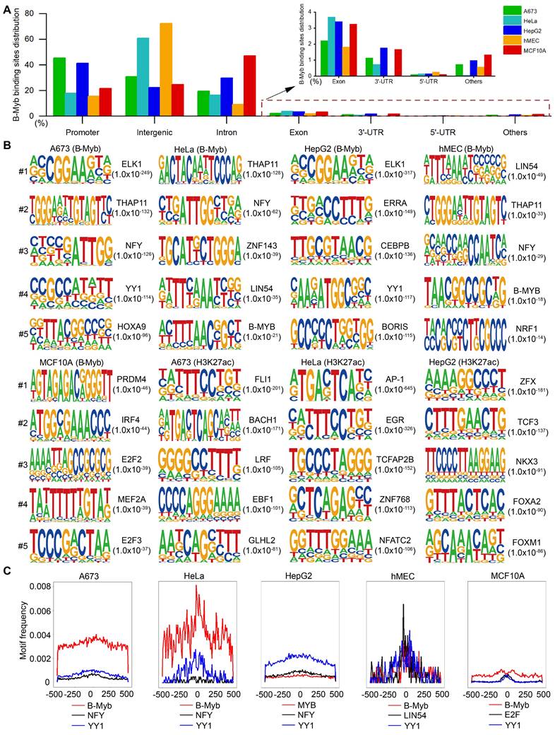 Int J Biol Sci Image