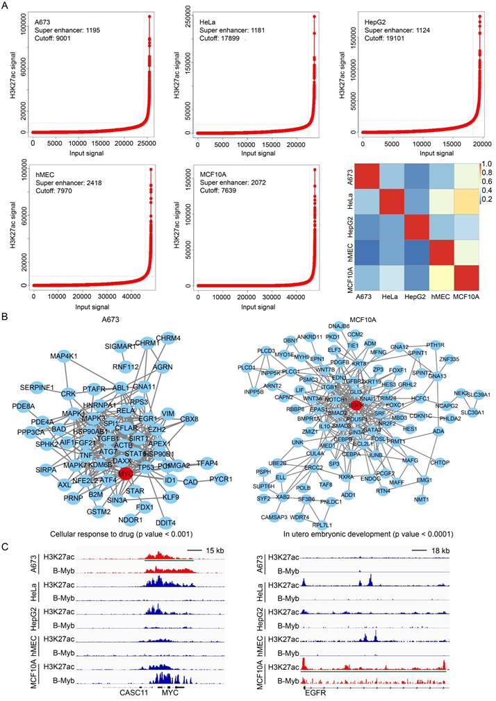 Int J Biol Sci Image