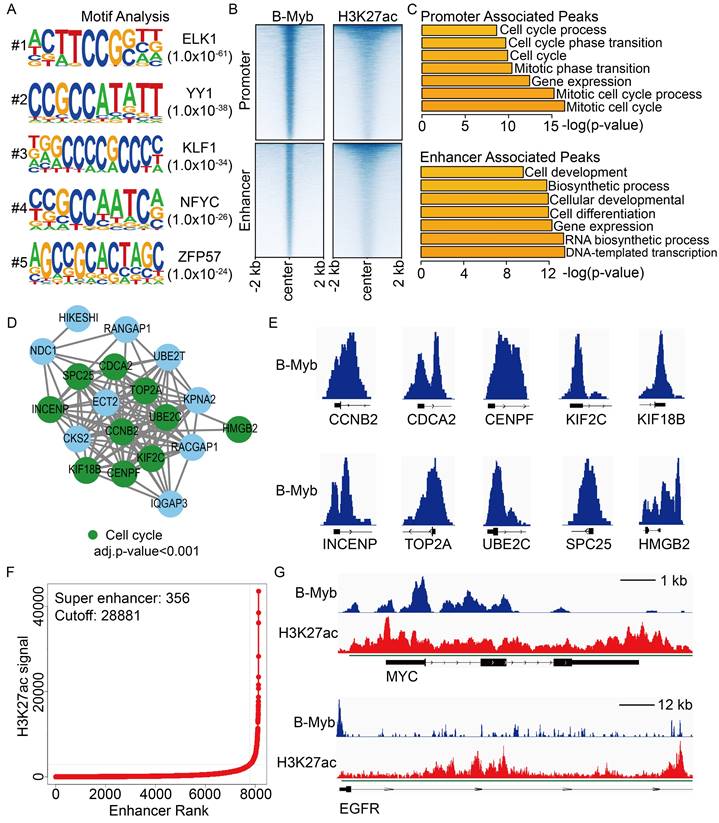 Int J Biol Sci Image