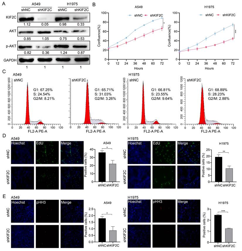 Int J Biol Sci Image