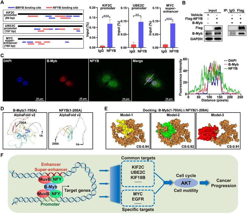 Int J Biol Sci Image