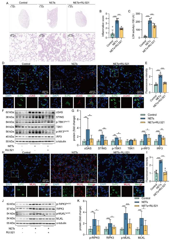 Int J Biol Sci Image