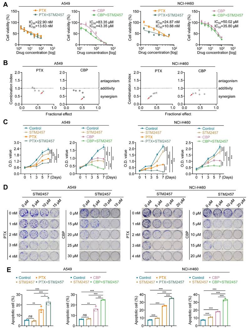 Int J Biol Sci Image