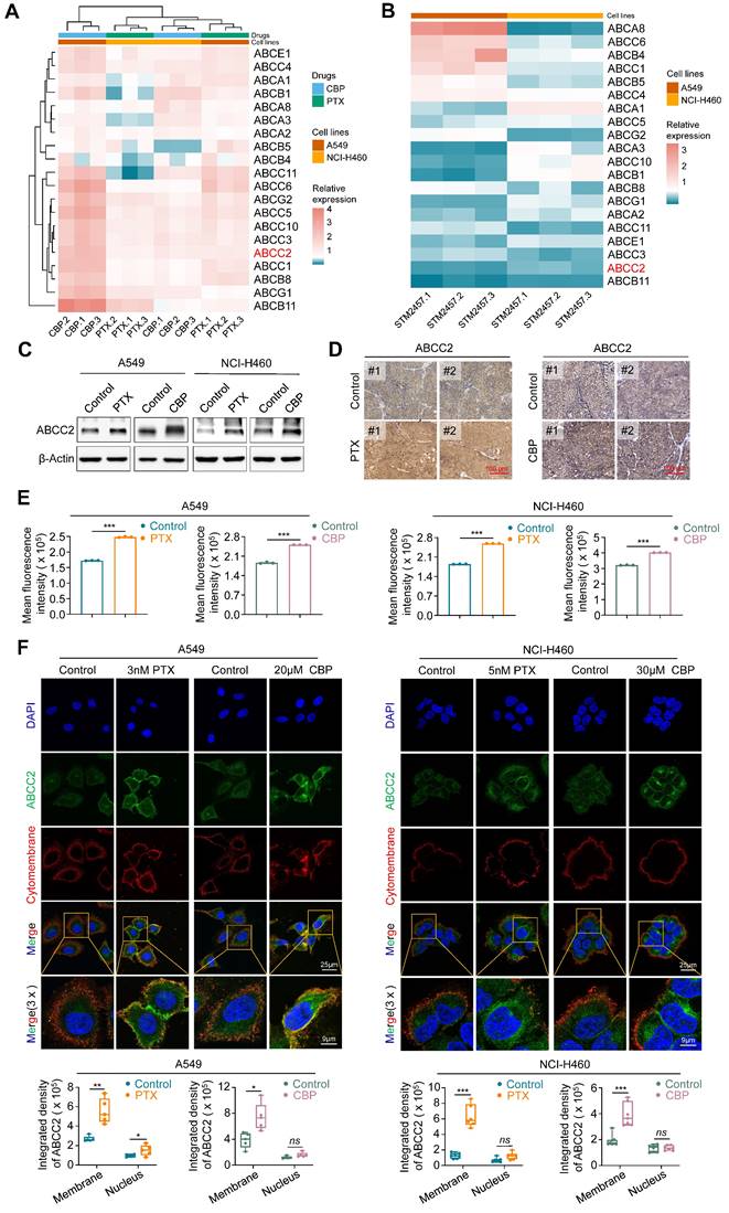 Int J Biol Sci Image