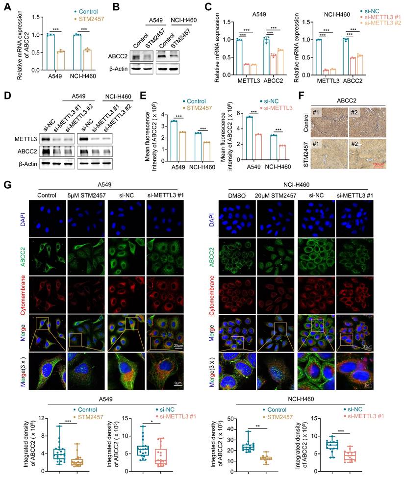 Int J Biol Sci Image