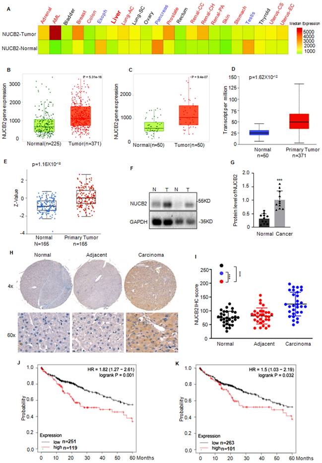 Int J Biol Sci Image