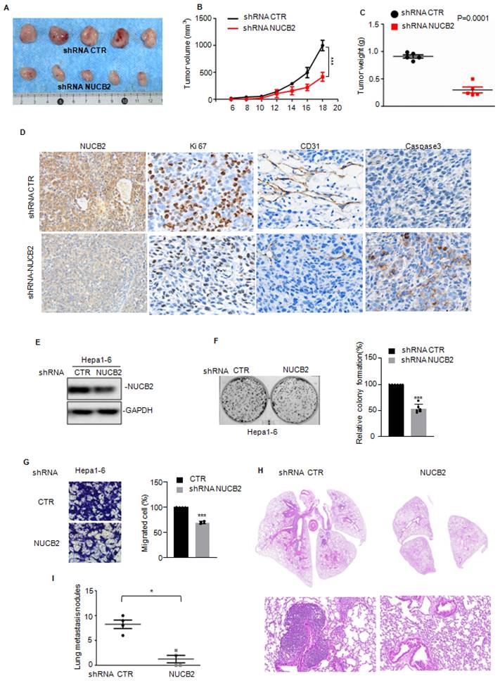 Int J Biol Sci Image