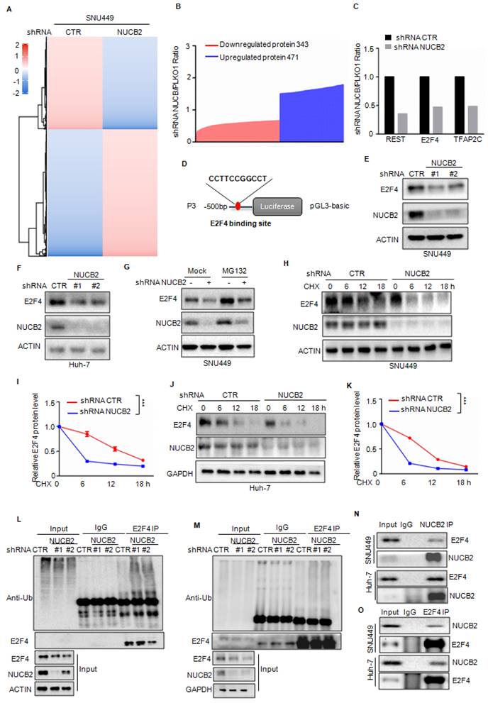 Int J Biol Sci Image