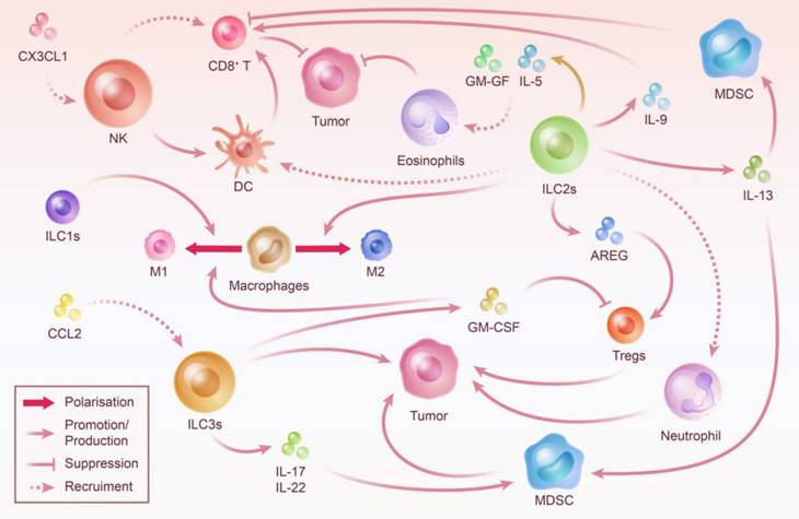 Int J Biol Sci Image