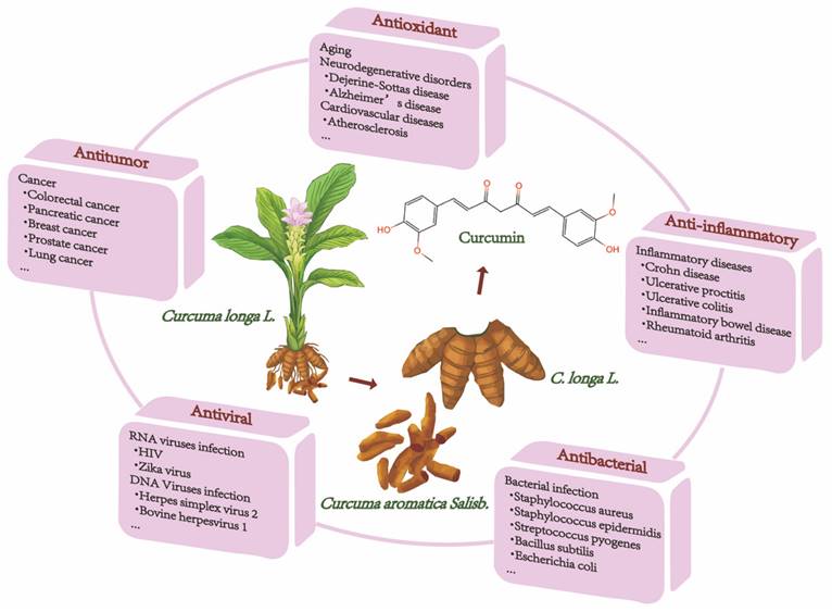 Int J Biol Sci Image