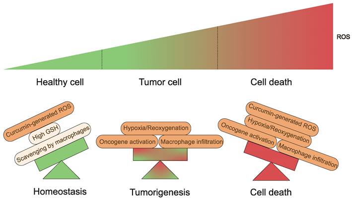 Int J Biol Sci Image