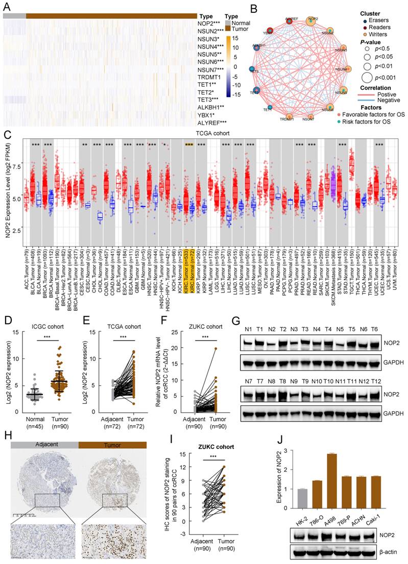 Int J Biol Sci Image