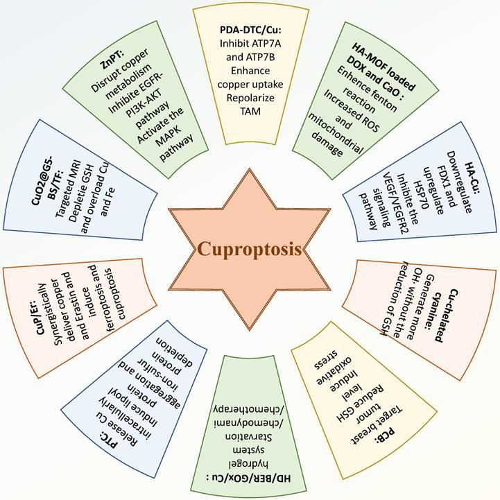 Int J Biol Sci Image