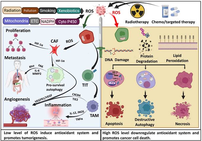 Int J Biol Sci Image