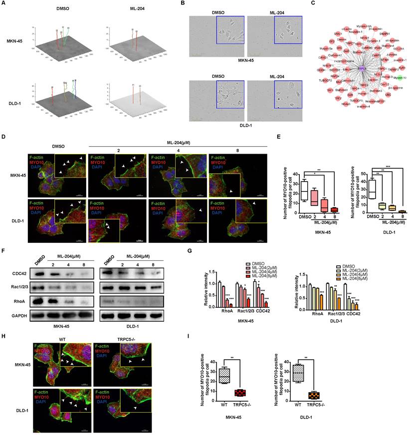 Int J Biol Sci Image