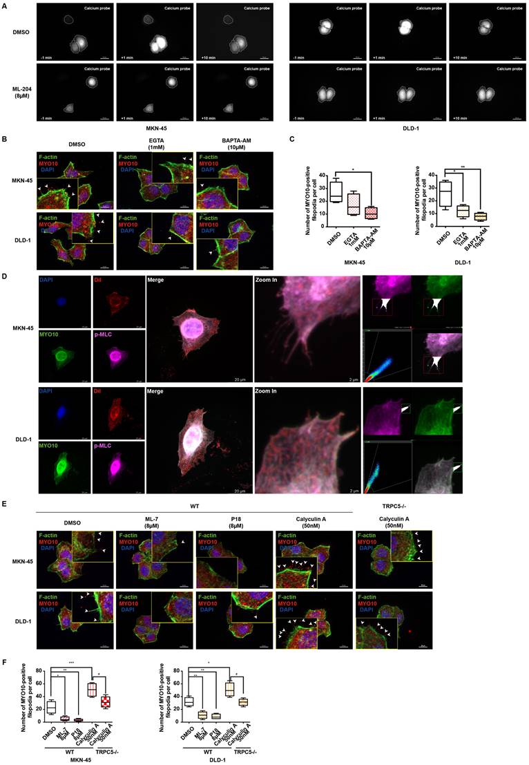 Int J Biol Sci Image