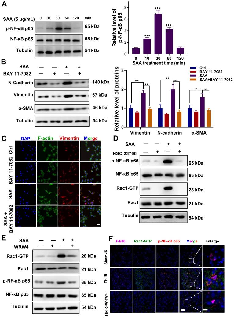 Int J Biol Sci Image