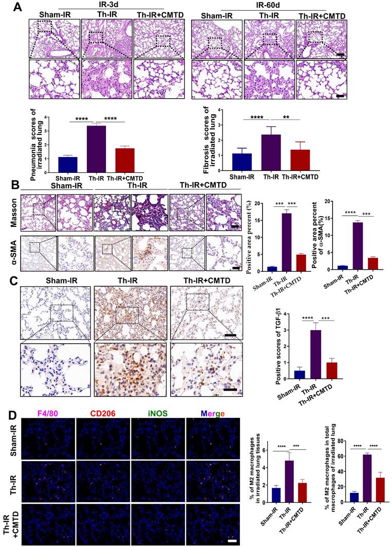 Int J Biol Sci Image