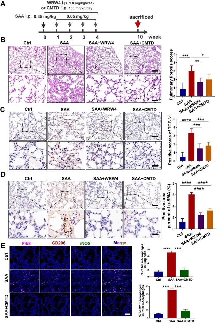 Int J Biol Sci Image