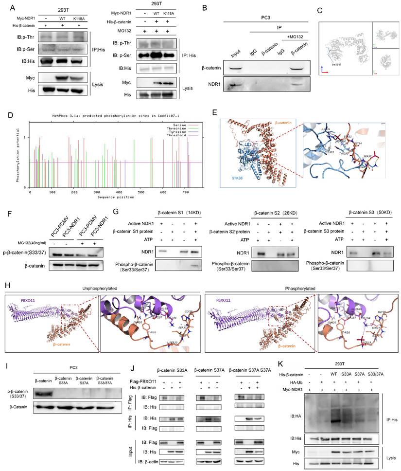 Int J Biol Sci Image