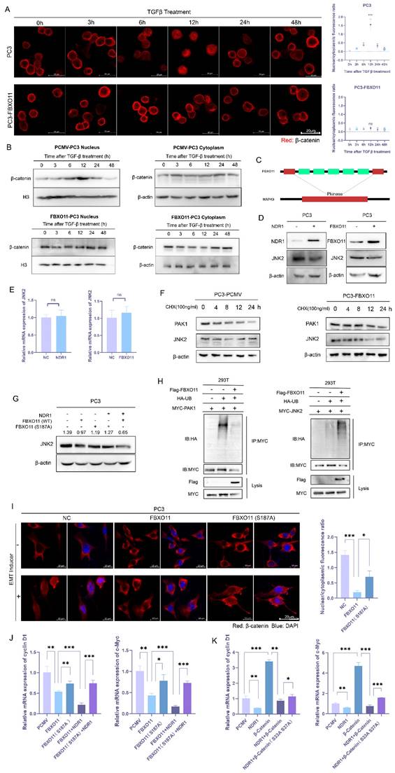 Int J Biol Sci Image