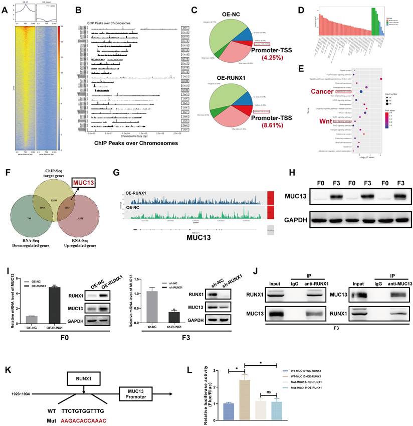 Int J Biol Sci Image