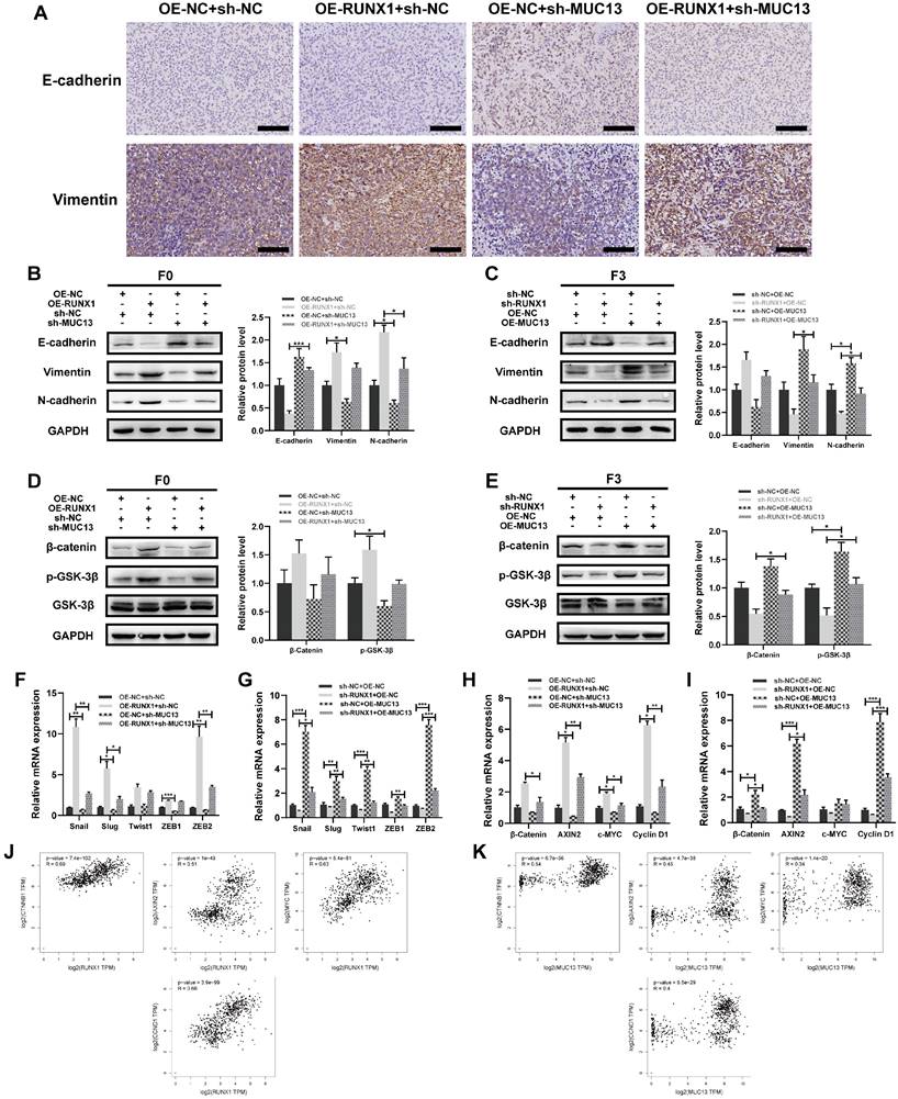 Int J Biol Sci Image