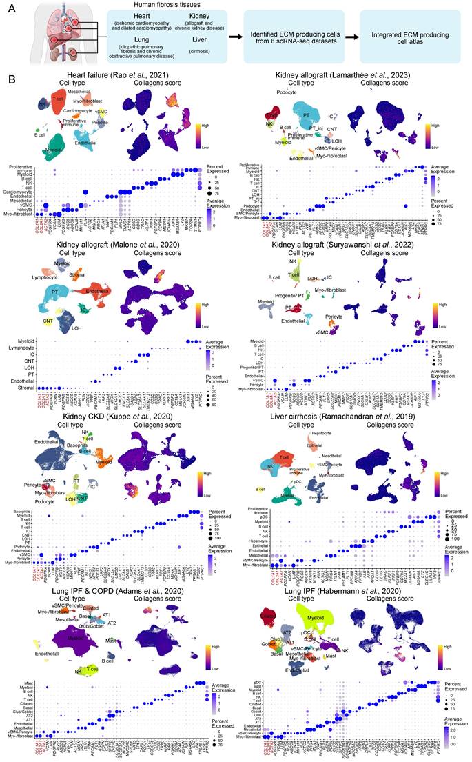 Int J Biol Sci Image