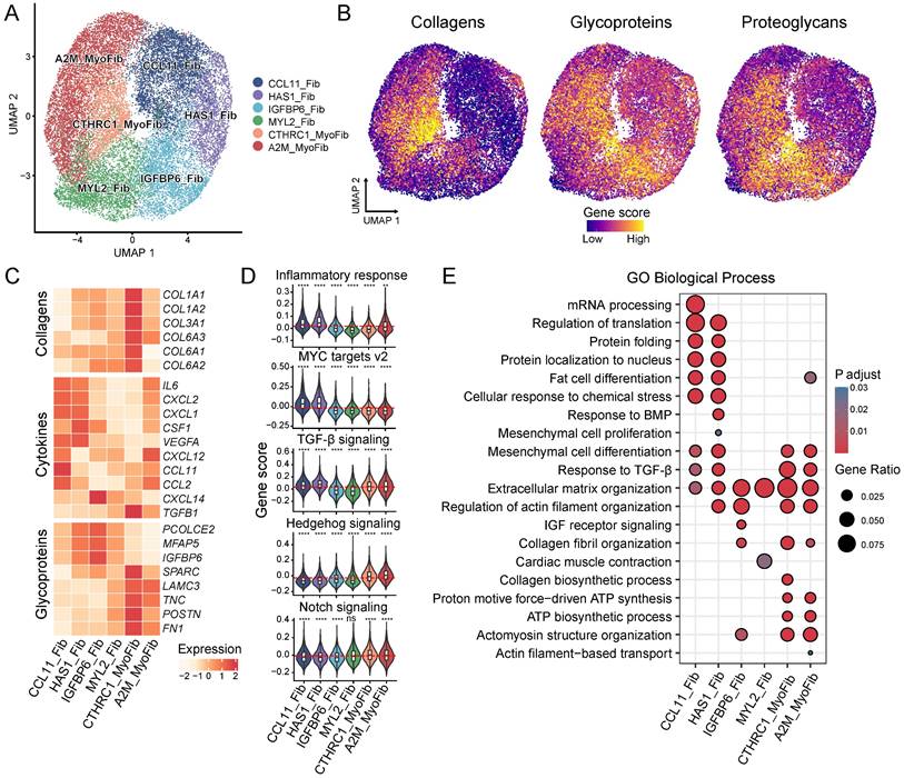 Int J Biol Sci Image