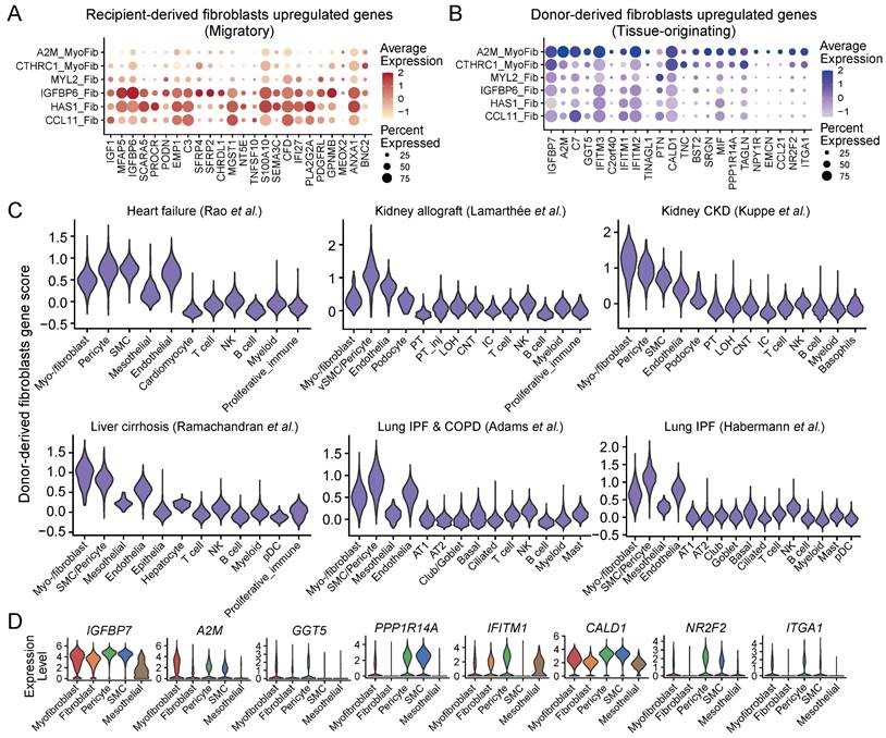 Int J Biol Sci Image