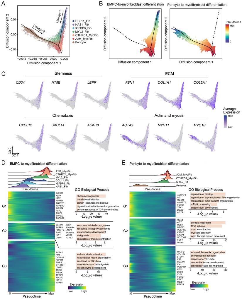 Int J Biol Sci Image