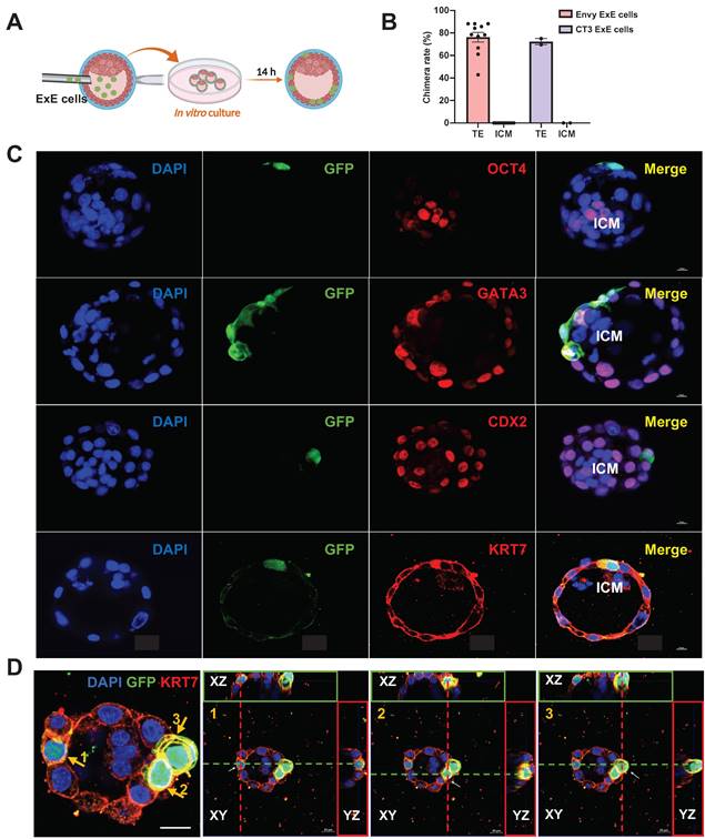 Int J Biol Sci Image