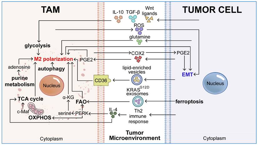 Int J Biol Sci Image