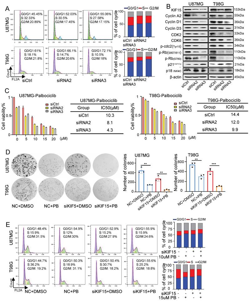 Int J Biol Sci Image