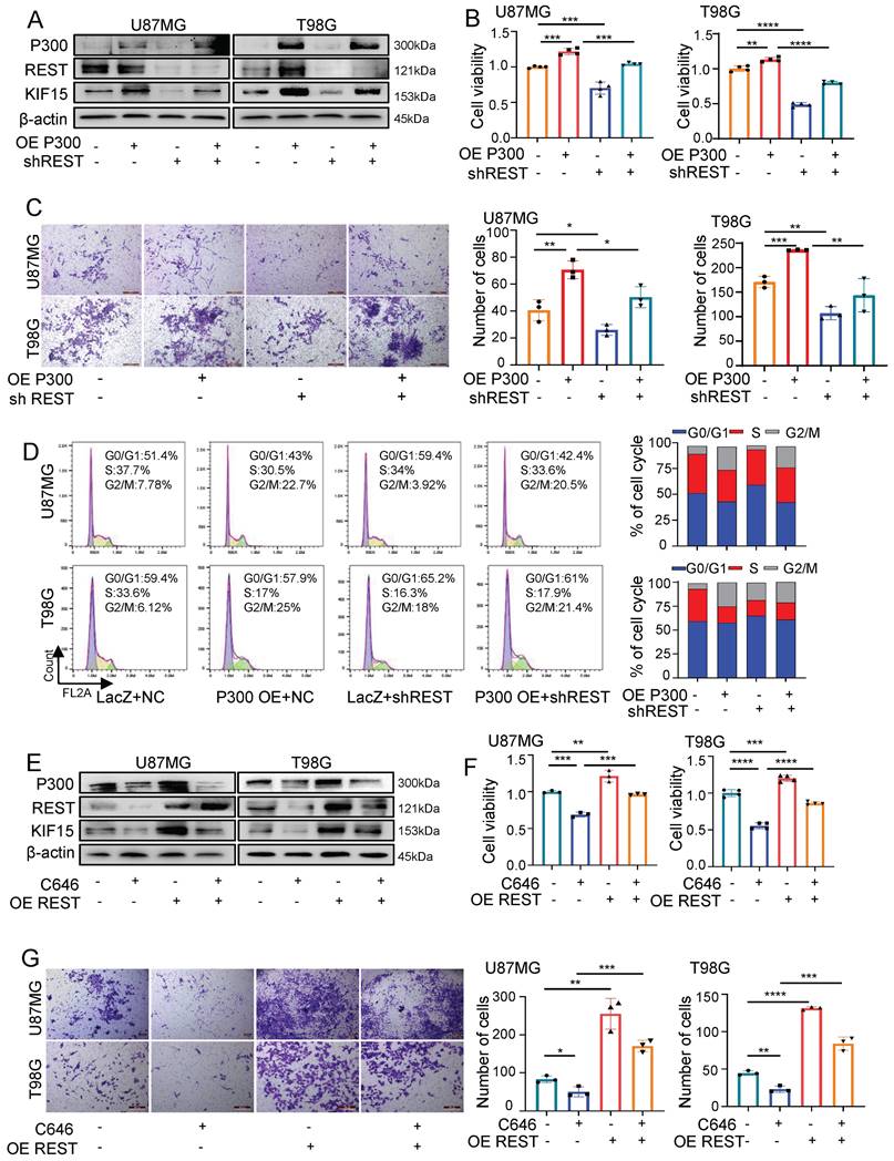 Int J Biol Sci Image