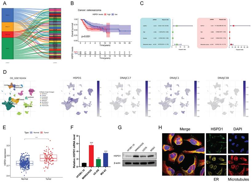 Int J Biol Sci Image