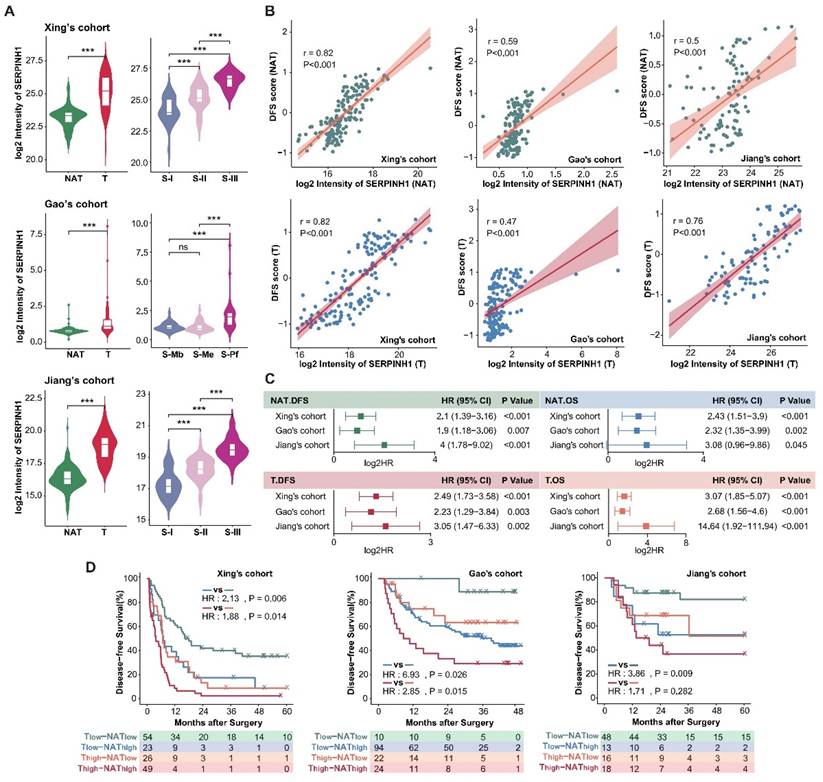 Int J Biol Sci Image