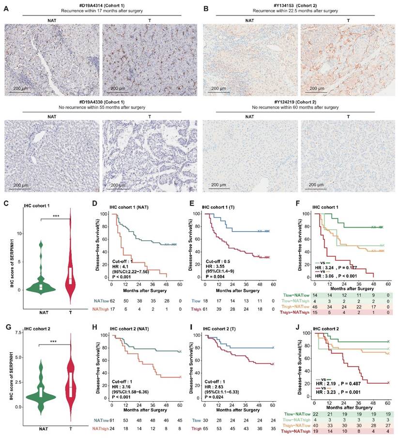 Int J Biol Sci Image