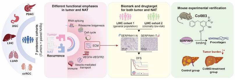 Int J Biol Sci Image