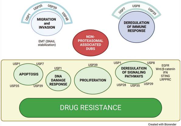 Int J Biol Sci Image